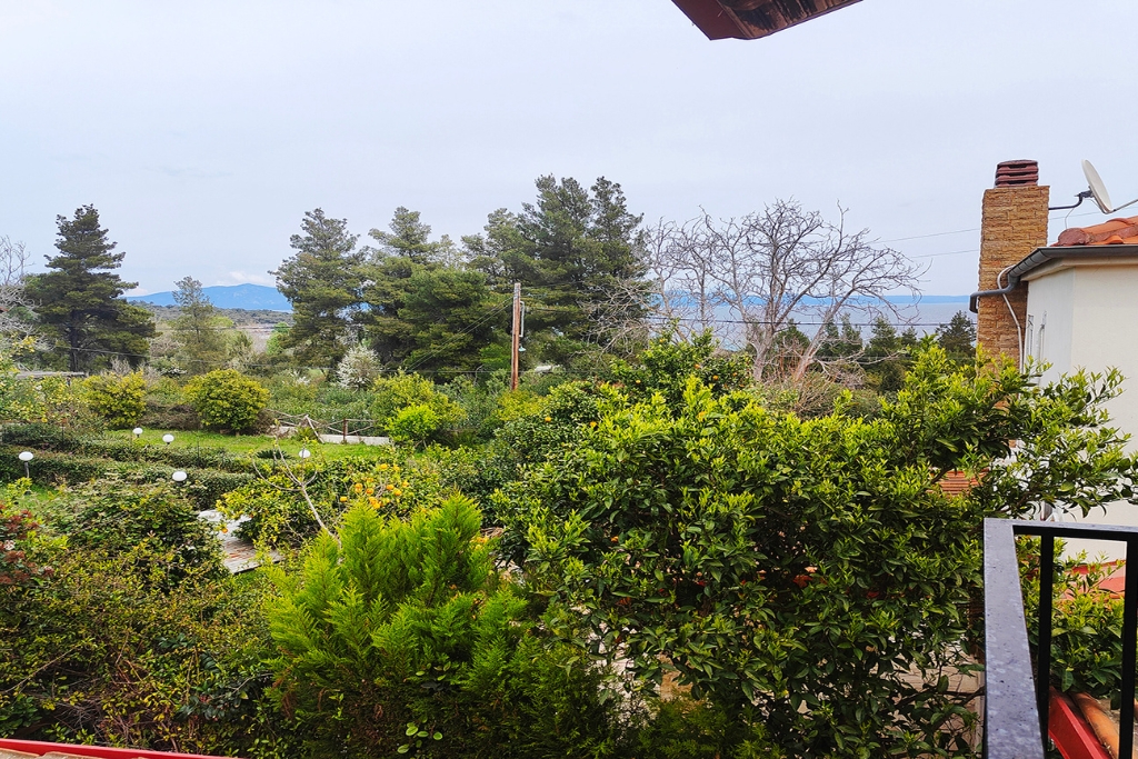 xr:d:DAF6PWBveh8:23,j:785175926443524478,t:24040308